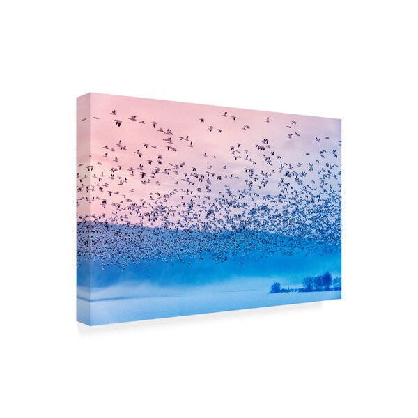 Rob Li 'Flying In The Fogging Morning' Canvas Art,12x19